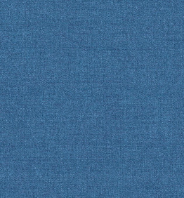 691	- Blue Fabric