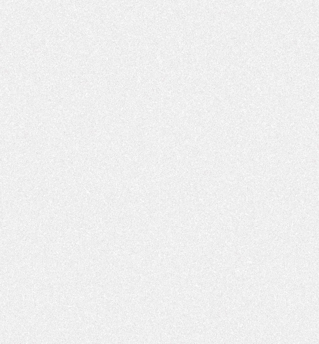 101