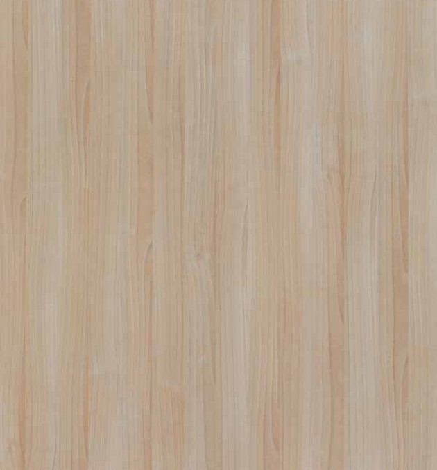 626 - Asian Maple