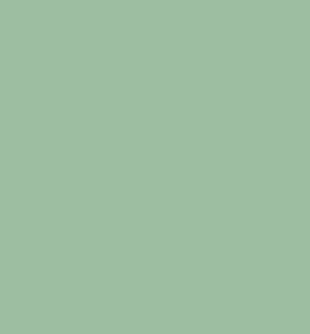 191 - PASTLE LIGHT GREEN