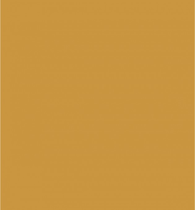 147	- Citrus Yellow