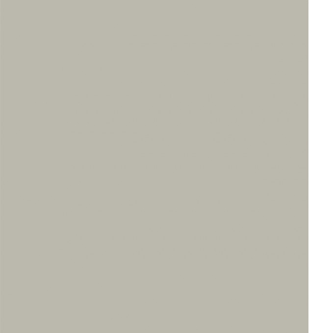 105 - Mysore Ivory