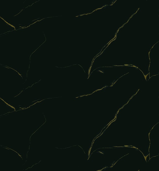 5392 - CARRARA MARBLE BLACK