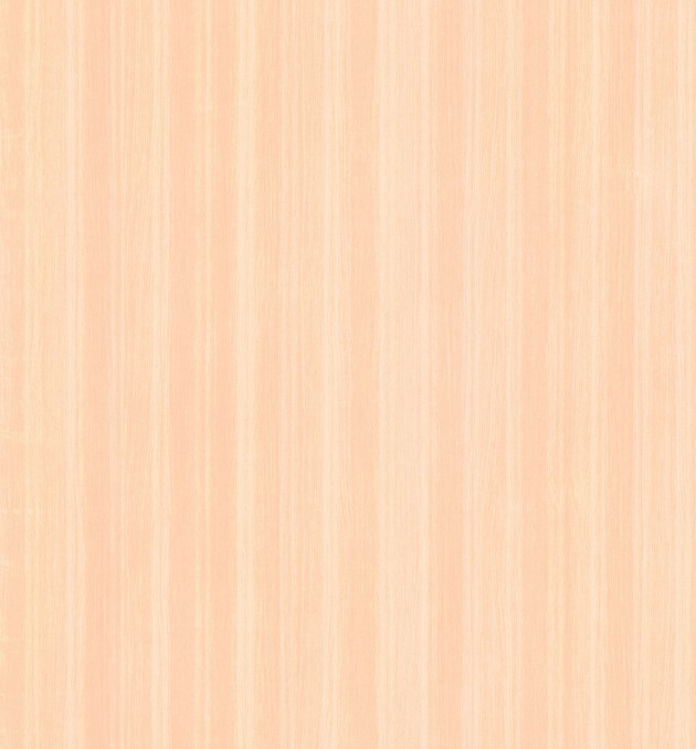 573 - Light Precious Beech