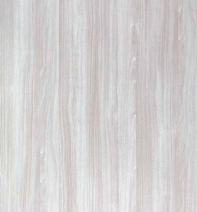 452 - Toarmina Elm
