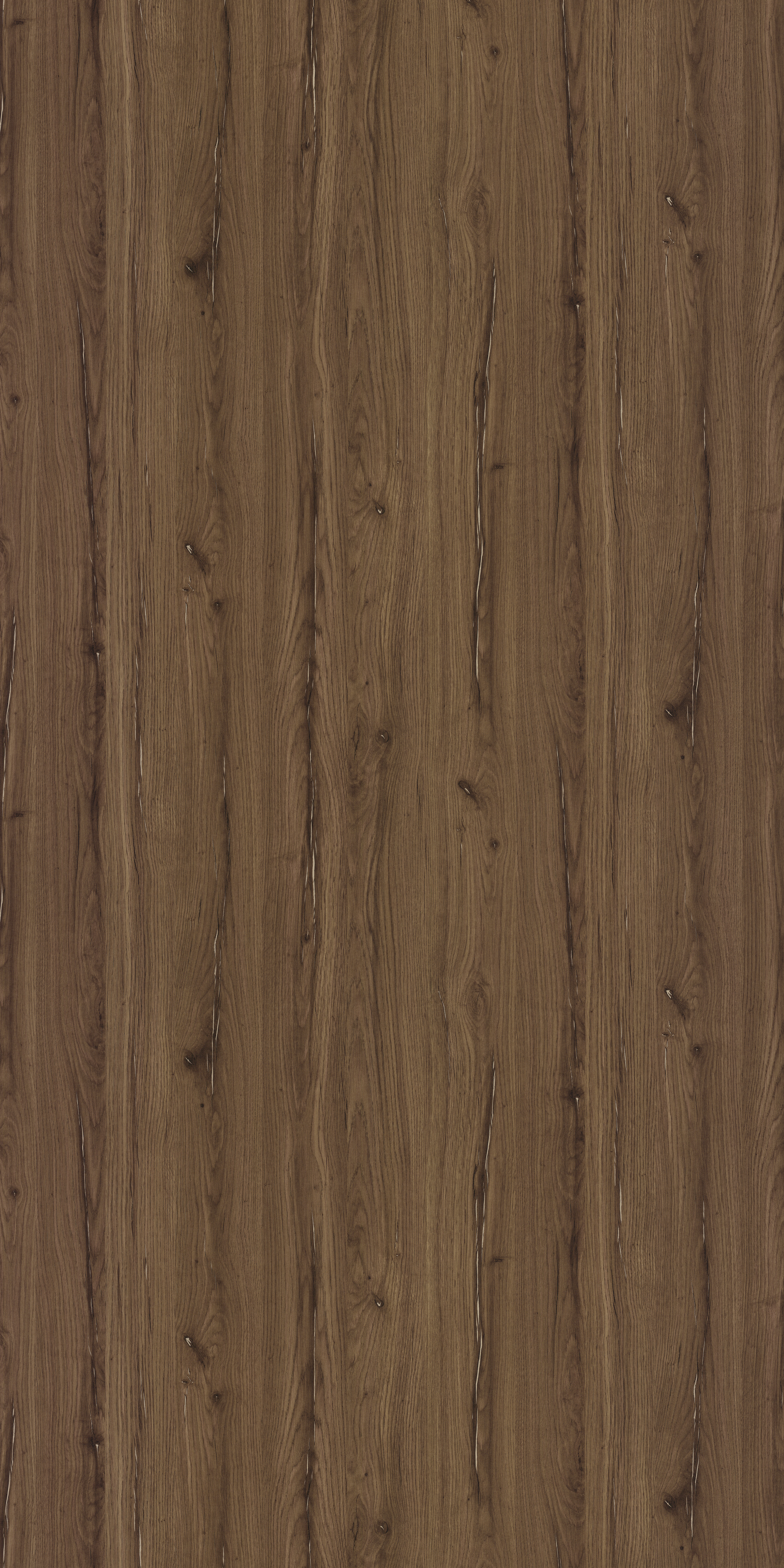 4219  ABSTRACT WOOD