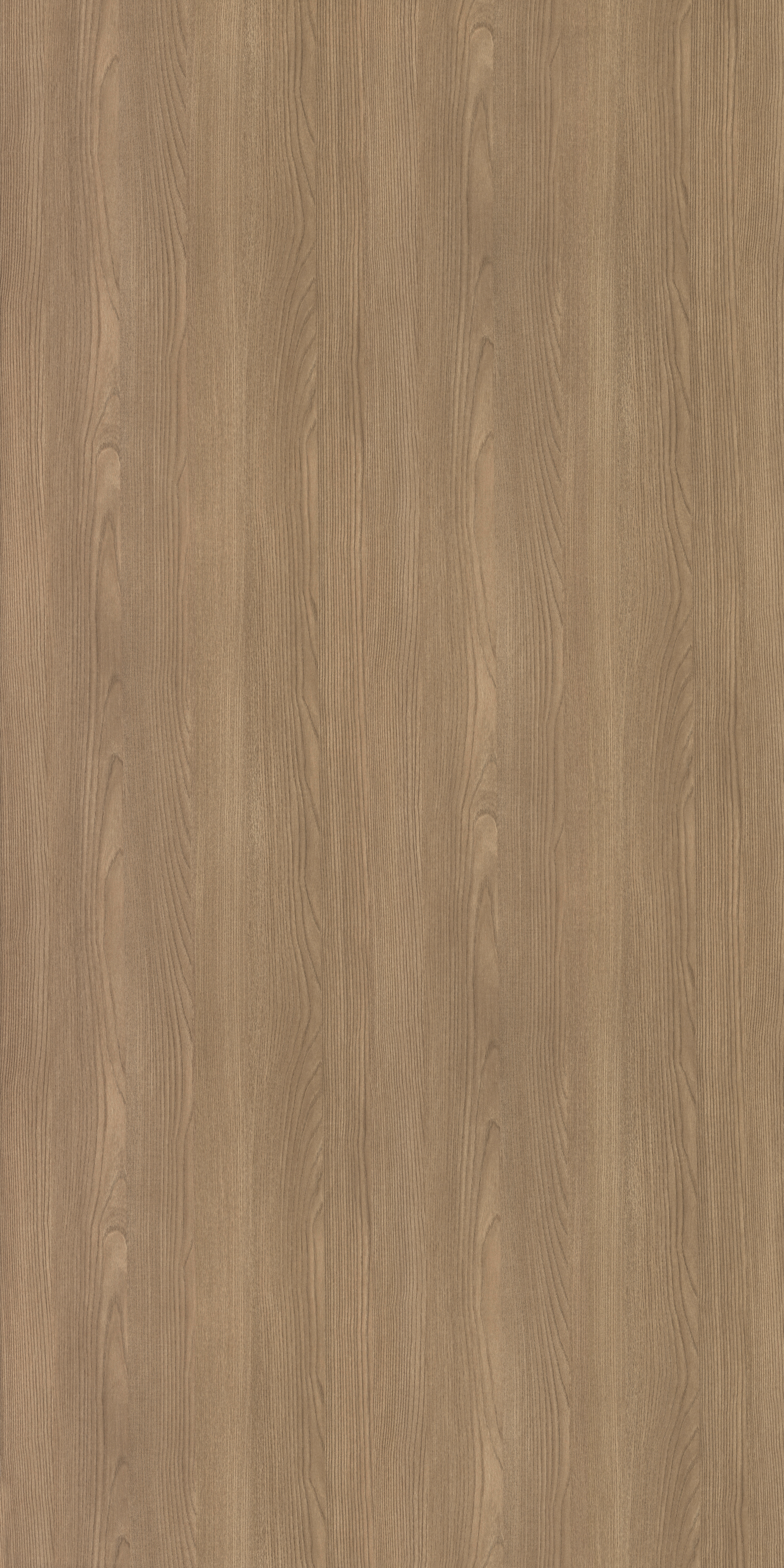 4223  ABSTRACT WOOD