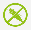100% Borer Free