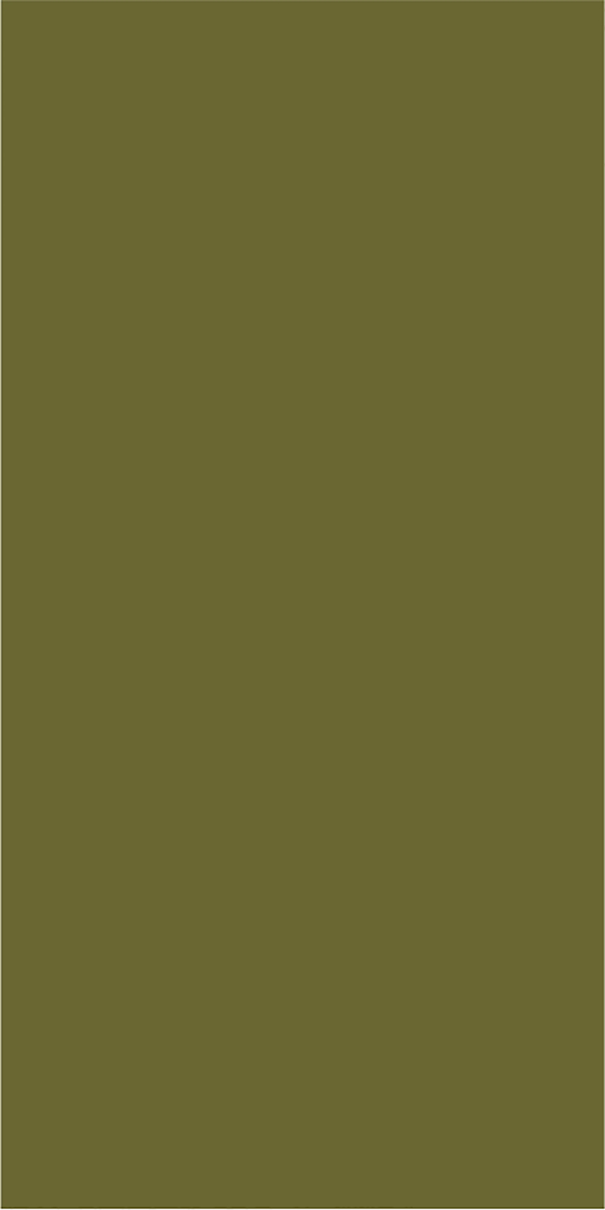 202	- Olive